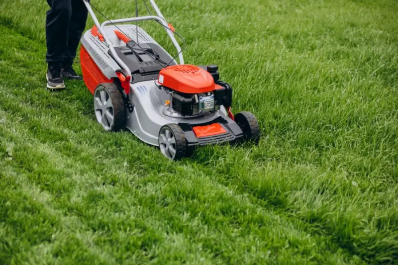 Rzadziej znaczy lepiej? Wyniki badań UJ nad koszeniem trawników Rzadziej znaczy lepiej? Wyniki badań UJ nad koszeniem trawników